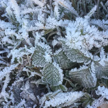 Chalet Quaint In Petithan With Roofed Pool Durbuy