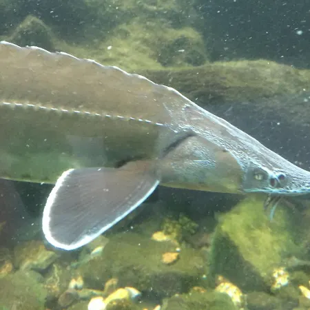 Quaint In Petithan With Roofed Pool * Durbuy