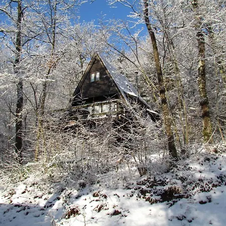 Quaint In Petithan With Roofed Pool Chalet Durbuy